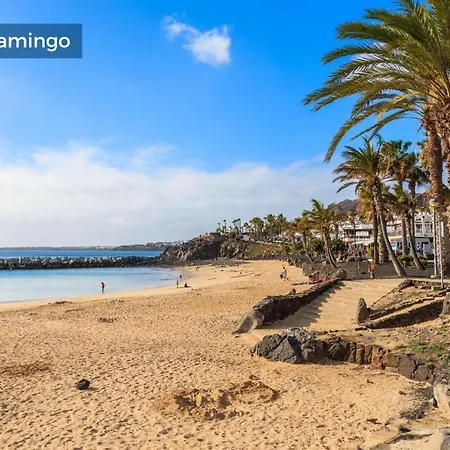 Casa Del Loro Playa Blanca (Lanzarote)